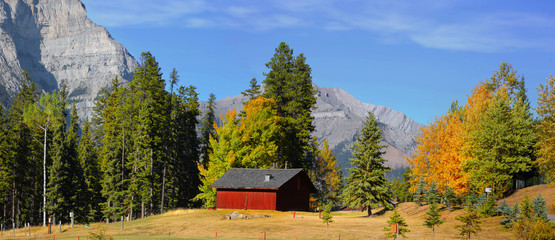 Panoramic view of autumn landscape in Banff national park