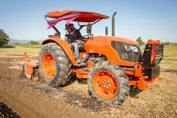 Tractor plows a field in the spring accompanied by Tractor