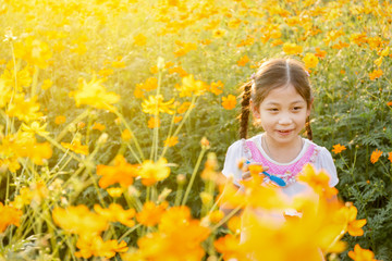 The little girl in the field of cosmos yellow flowers at sunlight in the morning