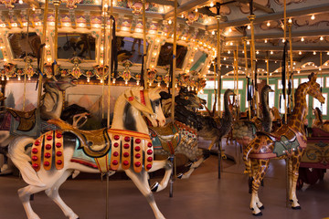 Merry-Go-Round Horse
