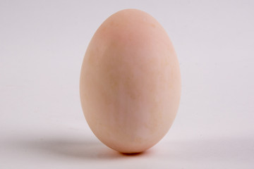 Egg Isolated on White Background