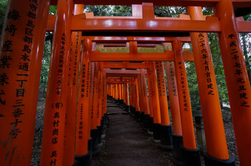 Fushimi Inari Shrine in Kyoto, Japan