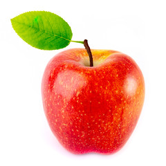 Red apple on white background