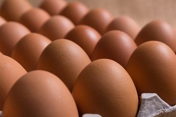 Fresh organic eggs