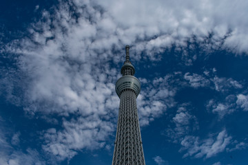 Torre