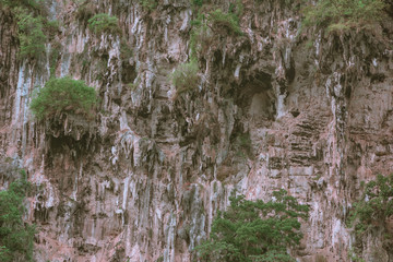 Cliff wall covered with green foliage