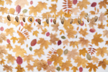 clothes pegs hold pine cones on a rope,abstract blurred autumn background