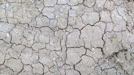 grey crack of dried soil background texture