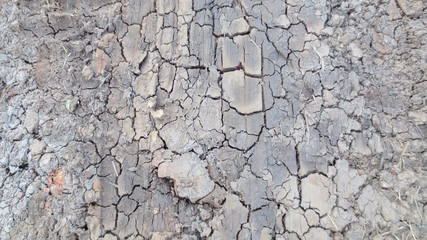 grey crack of dried soil background texture