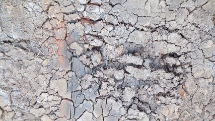 grey crack of dried soil background texture