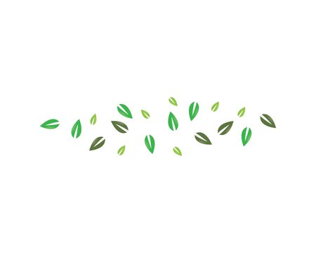 Leaf vector icon