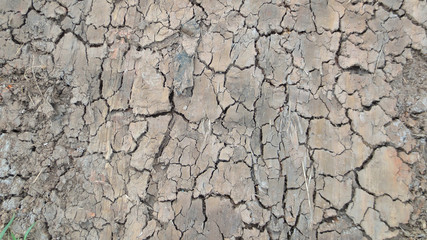 grey crack of dried soil background texture