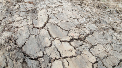 grey crack of dried soil background texture