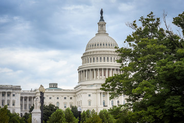 Naklejka premium Capitol Building in Washington DC