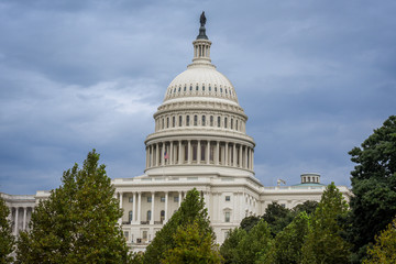 Capitol Building in Washington DC