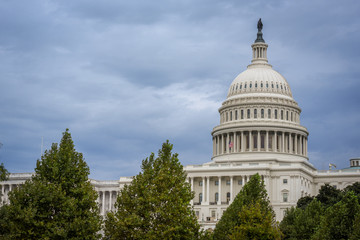 Fototapeta na wymiar Capitol Building in Washington DC