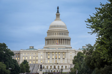 Capitol Building in Washington DC