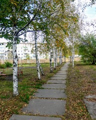 Sidewalk, city, road