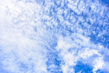 Obraz premium The nature of blue sky with cloud in the morning.