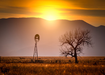Windmill at Sunset