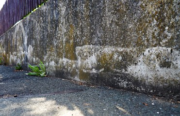 Weg
