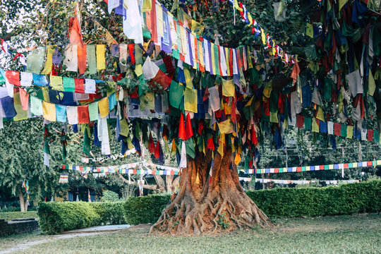 View of the colorful Tibetan flag