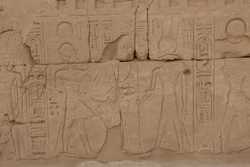 Fototapeta na wymiar The temple in Karnak