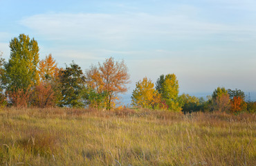 Fototapeta premium Meadow in autumn. Autumn background. Ukraine.