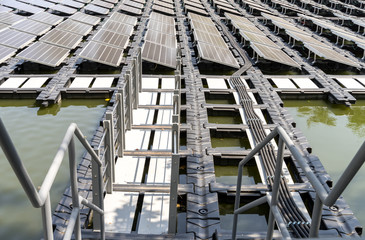 Floating solar energy Sustainable solutions farm built on  platforms at marsh in smart office