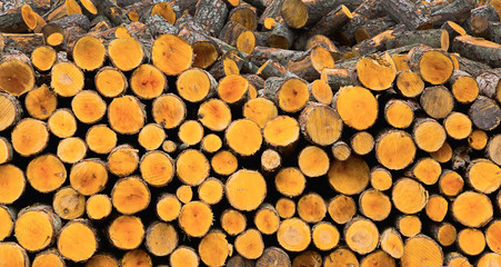 Stack of chopped firewood. Preparation of firewood for the winter