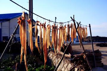 a fishing village drying fish