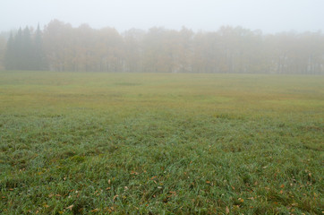 Fototapeta premium Autumn landscape in the Park.