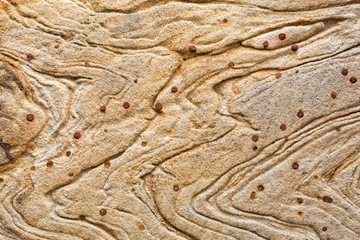 Texture and patterns in a section of exposed sandstone rock