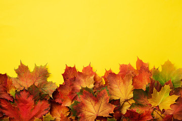 Colorful autumn leaves on yellow background with copy space. Cozy fall mood. Season and weather concept