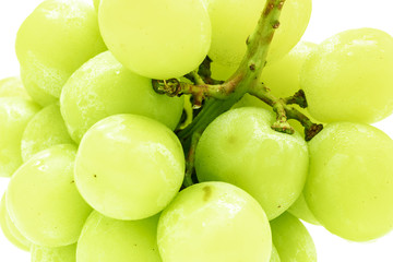 white grape fresh fruit in closeup shot