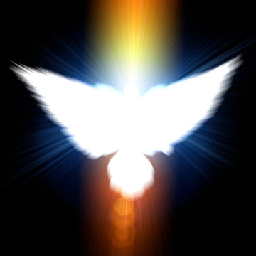 Holy sign of a white dove