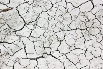 The rain does not come.That's why the river in germany wants dry up in 2018.Water is the basis of all life and nature without rain.