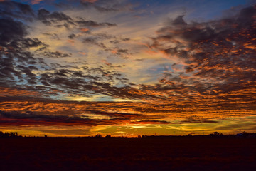 Sunrise in Rural Michigan. Farmland, Country Landscape.