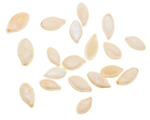 Pumpkin seeds isolated on white background