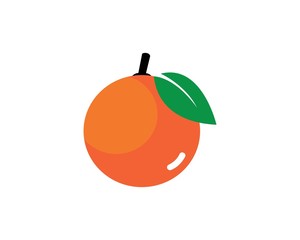 Orange logo design. Vector illustration