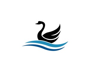 Swan logo Template vector illustration design