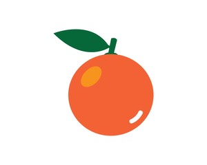 Orange logo design. Vector illustration