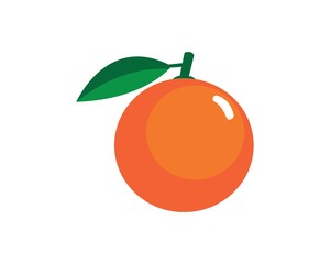 Orange logo design. Vector illustration