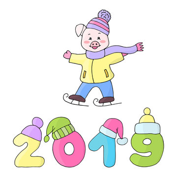2019 new year and pig on white background