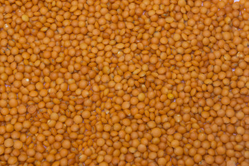 organic natural orange red lentils close-up food