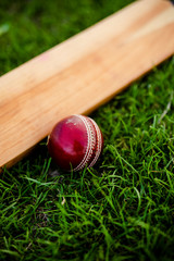Cricket bat and ball on green grass