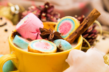 hot cocoa with gingerbread and marshmallows, Christmas traditional chocolate drink