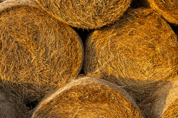 Background natural bale of hay