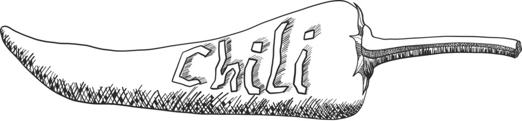 Chili a strong pepper line art drawing with the word chili on the vegetable