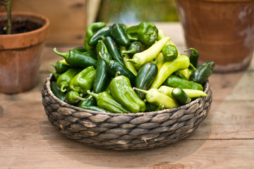 Whickered basket with green peppers in the garden on wooden background